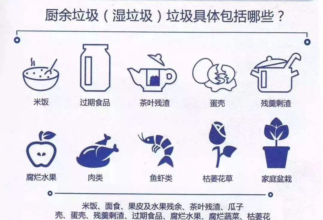 廚余垃圾的危害，你應該了解！