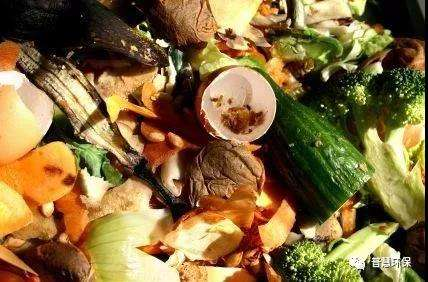 您知道如何區(qū)分餐廚垃圾、餐飲垃圾和廚余垃圾嗎?