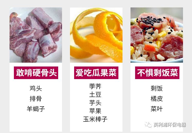 廚余垃圾臟亂臭 英利浦廚余垃圾處理器幫您解決