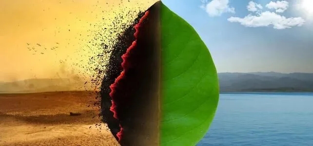 1623656448121538.jpg 640.webp (1).jpg