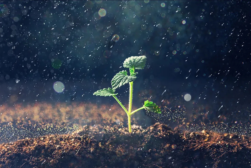 1627643200318865.jpg 3.jpg