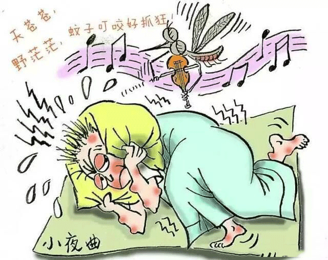 1633319539997175.jpg 06.jpg