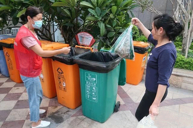 1633319652272305.jpg 08.jpg