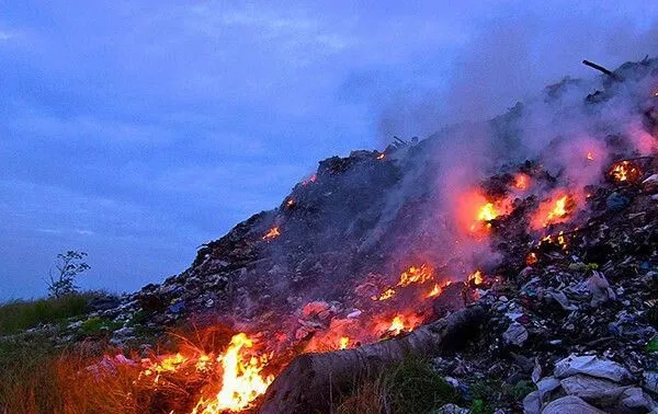 1642760417371536.jpg 640.webp (2).jpg