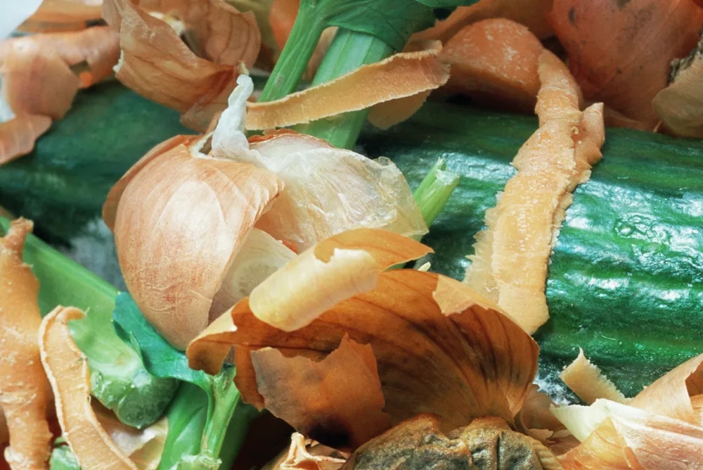 1645150173103405.jpg 1645150173103405.jpg