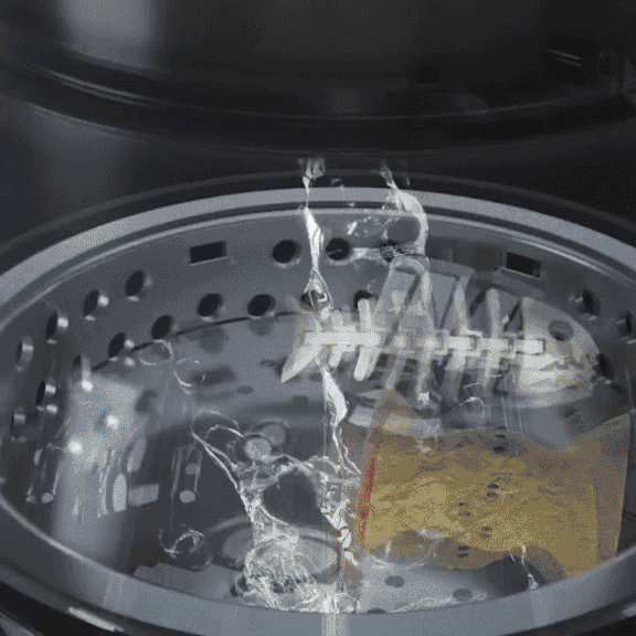 1648604931537682.gif 640.gif