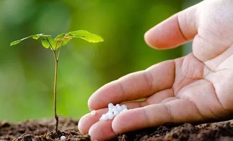 1653013410115015.jpg 640 (1).jpg