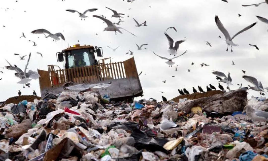 1654589776134358.png 1654589776134358.png