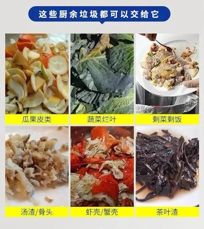 1661325713393783.jpg 640 (2).jpg